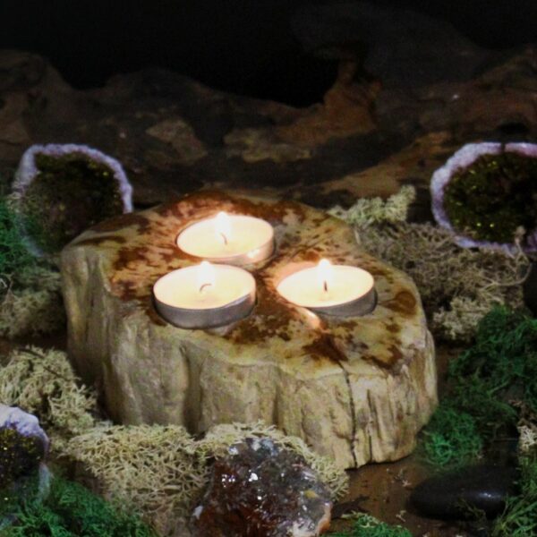 Petrified Wood Candle Holder - Triple - Image 2