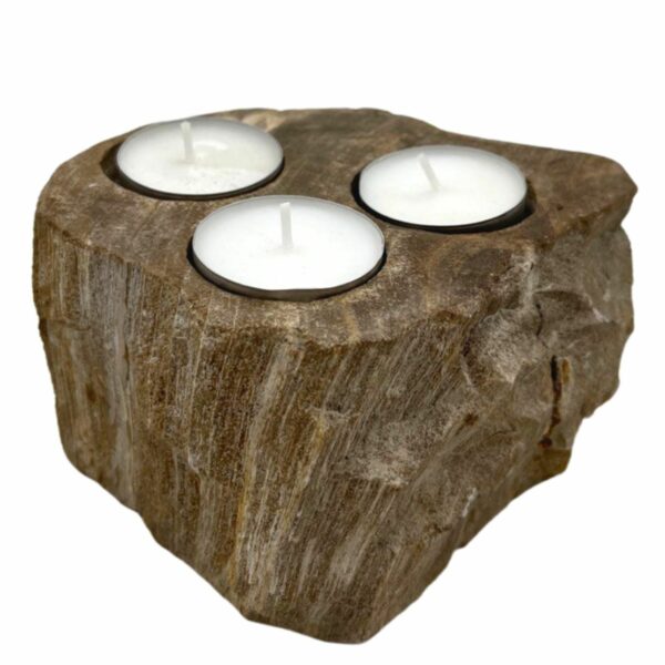 Petrified Wood Candle Holder - Triple - Image 4