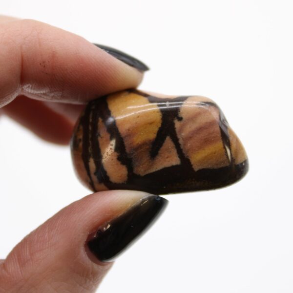 Medium African Tumble Stones - Jasper Nguni - Image 3