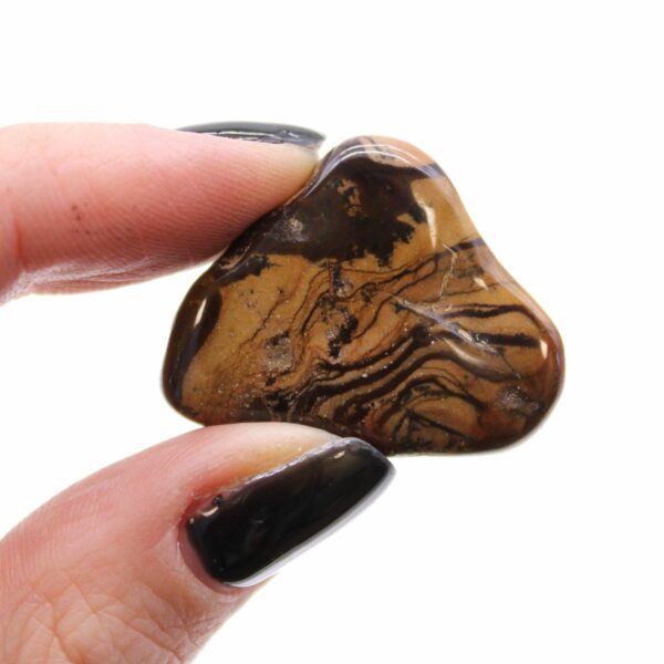 Medium African Tumble Stones - Picture Nguni - Image 3