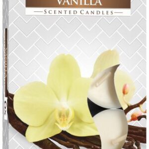 Set of 6 Scented Tealights - Vanilla
