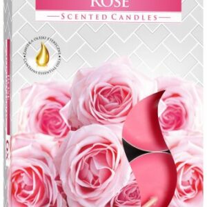 Set of 6 Scented Tealights - Rose