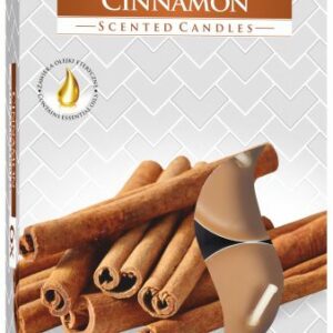 Set of 6 Scented Tealights - Cinnamon
