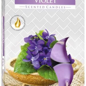 Set of 6 Scented Tealights - Violet