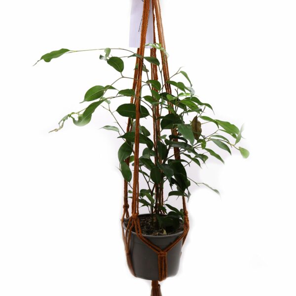 Macrame Pot Holder Classic - Chocolate Med Pot - Image 3