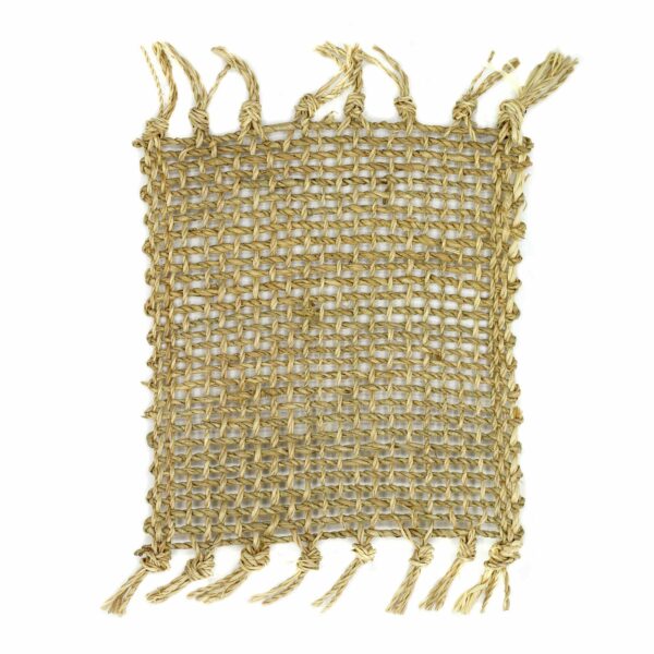 Set of 4 Seagrass Fringe Natural Coasters - Natural - Image 2