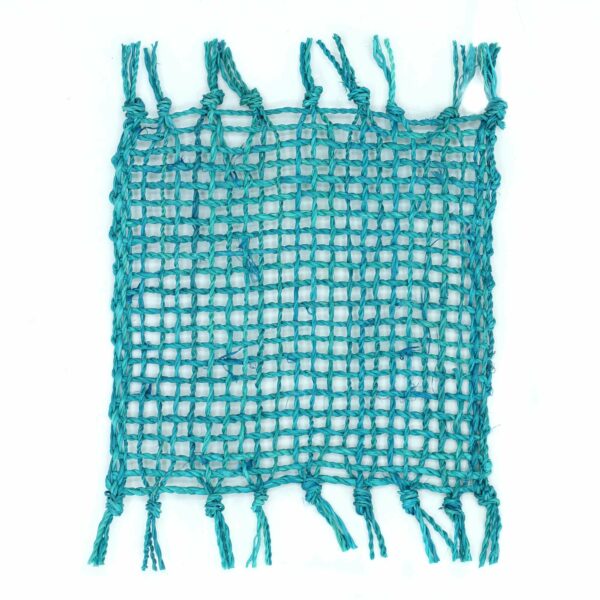 Set of 4 Seagrass Fringe Natural Coasters - Turquoise - Image 2