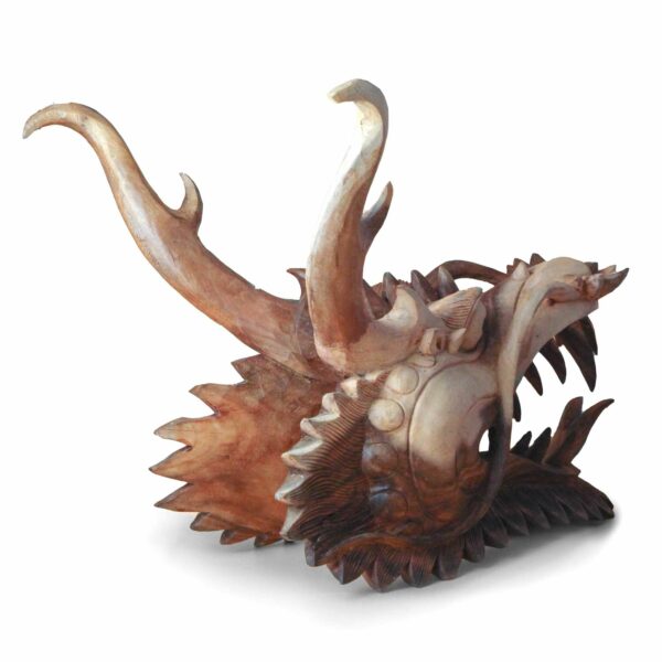 Live Size Dragon Head Carving  - 30cm - Image 4