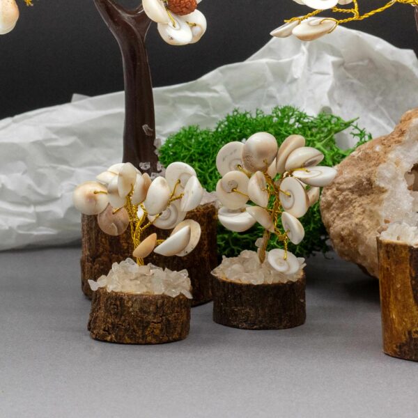 Small Gomati Chakra Circle Stone Tree with Rudraksha - (15 stones) - Image 3