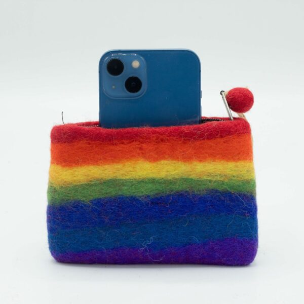 Natural Felt Zipper Pouch (asst) - Rainbow - Image 3