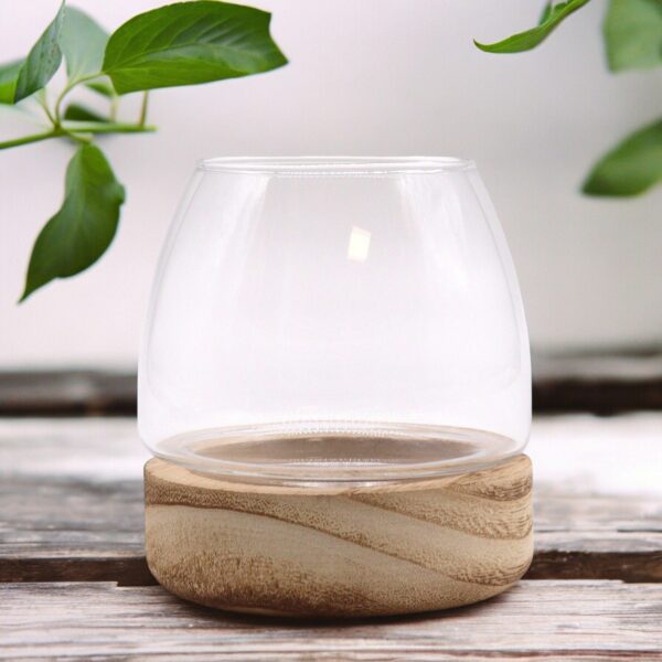 Mini Terrarium on Natural Tung Wood - Image 2
