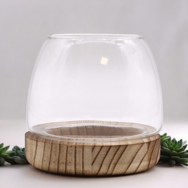 Small Terrarium on Natural Tung Wood - Image 2
