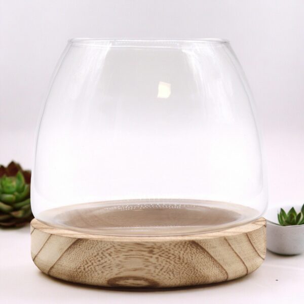Medium Terrarium on Natural Tung Wood - Image 2