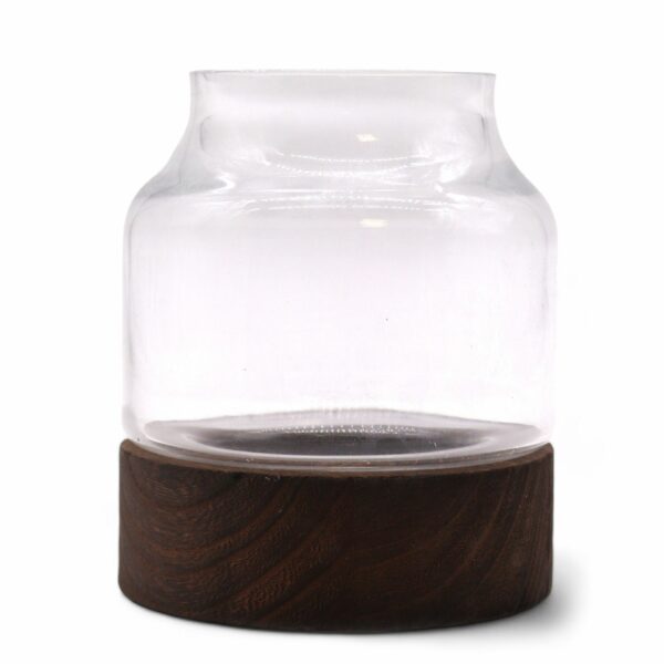 Small Shaped Terrarium on Dark Tung Wood - Image 2