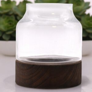 Medium Shaped Terrarium on Dark Tung Wood