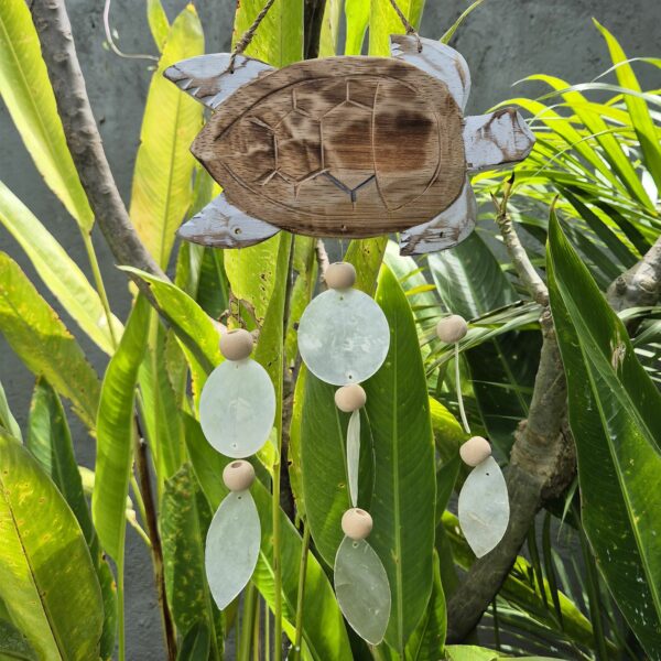 Whitewash Turtle Carving and Natural Copis Drop - Image 5