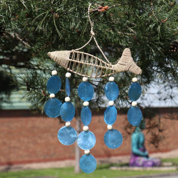 String Fish and Blue Copis Drop - Image 2