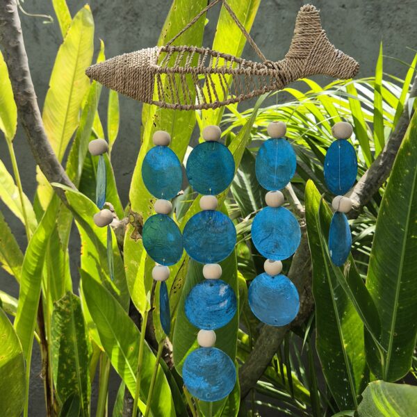 String Fish and Blue Copis Drop - Image 4