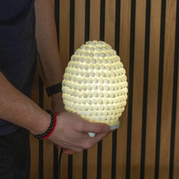 Boho Sea Shell Lamp - Buting Shell Oval - 15cm - Image 3