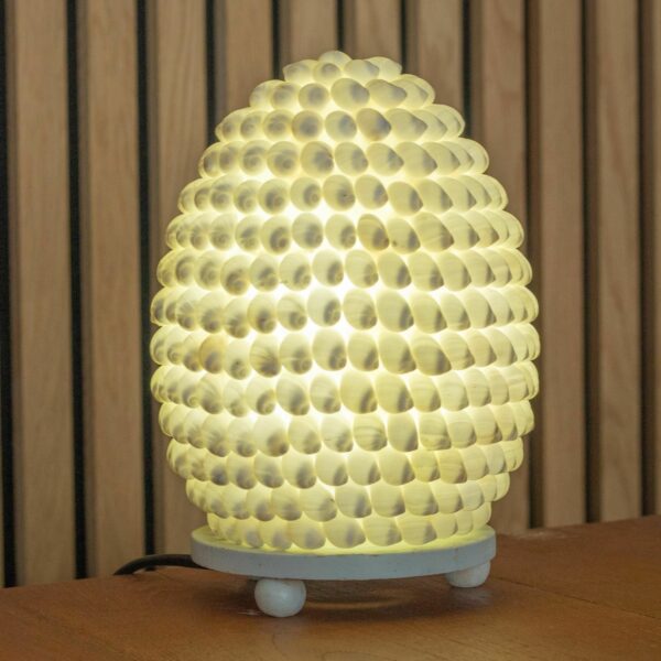 Boho Sea Shell Lamp - Buting Shell Oval - 15cm - Image 4