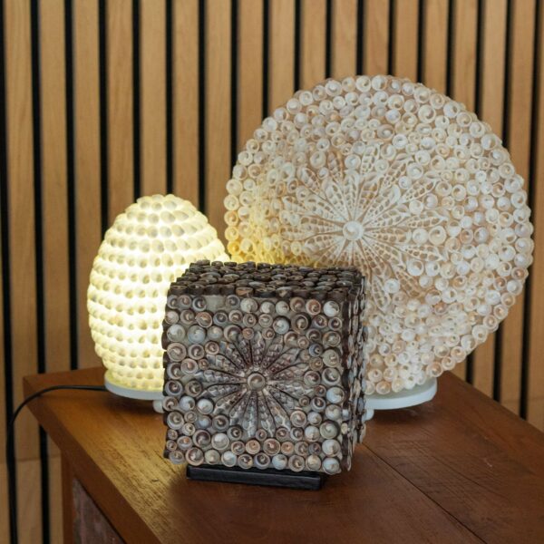 Boho Sea Shell Lamp - Cut Art Shell Oval - 15cm - Image 4