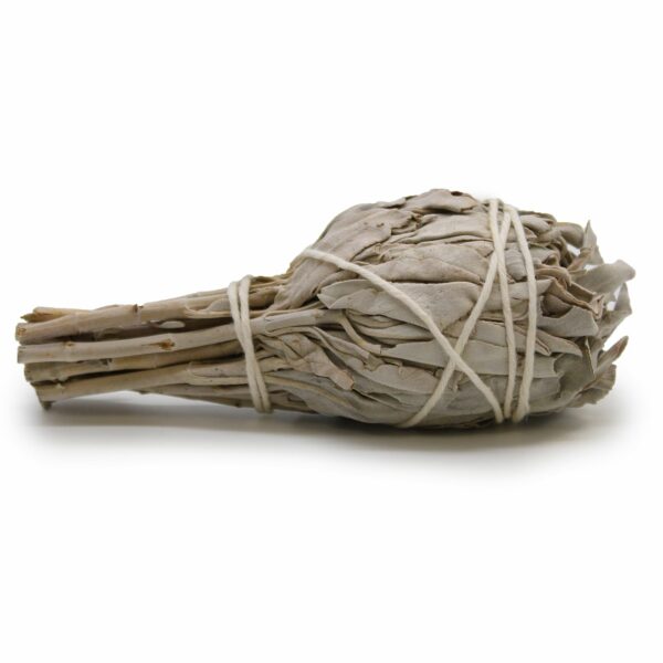 Smudge Stick - White Sage Torch 10cm - Image 4