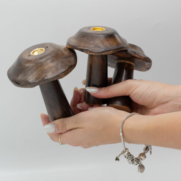 Set of 3 Flat Incense Cone Mushrooms (13cm 12cm 11cm) - Image 4