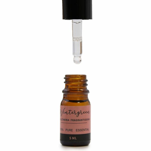 Aromatherapy Essential Oil Set - The Top 12 - Image 5