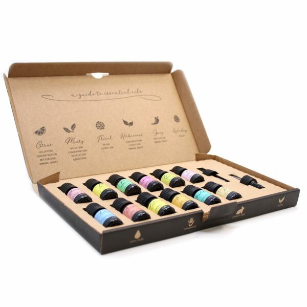 Aromatherapy Essential Oil Set - The Top 12 - Image 7