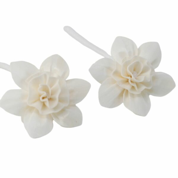 Natural Diffuser Flowers - Lrg Lily on String - Image 4