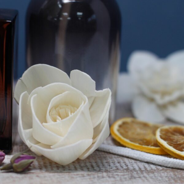 Natural Diffuser Flowers - Lrg Lotus on String - Image 3