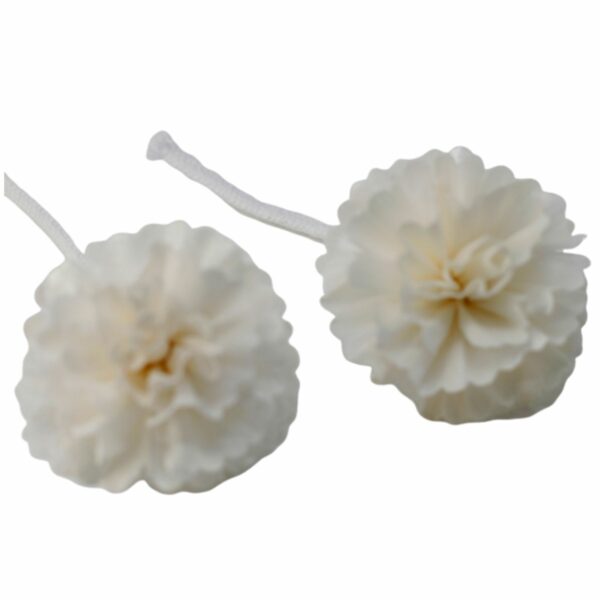Natural Diffuser Flowers - Med Carnation on String - Image 5