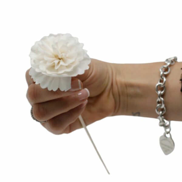 Natural Diffuser Flowers - Carnation on Reed - Image 7
