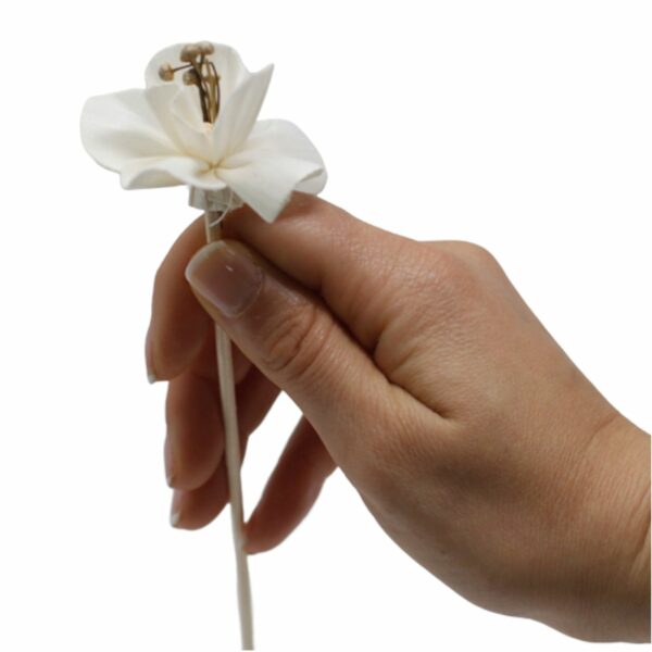 Natural Diffuser Flowers - Lily on Reed - Image 8