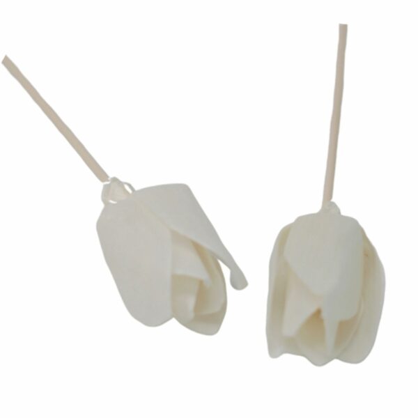 Natural Diffuser Flowers - Tulip on Reed - Image 6