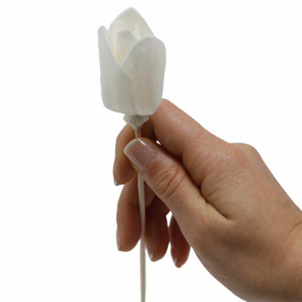 Natural Diffuser Flowers - Tulip on Reed - Image 8